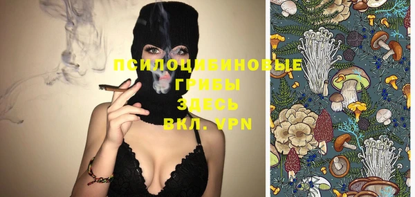 прущие крисы Кулебаки