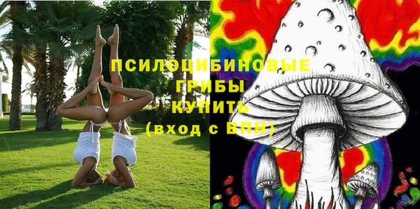 прущие крисы Кулебаки