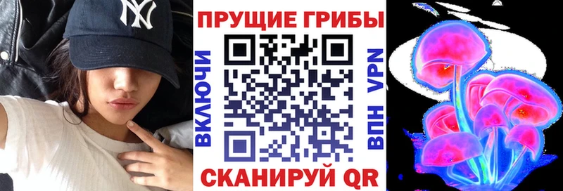 Галлюциногенные грибы прущие грибы  Купить закладки  Сорочинск 